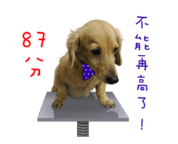 Mr. Tofu's line animated stickers (NO.1) sticker #15615179