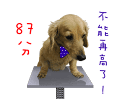 Mr. Tofu's line animated stickers (NO.1) sticker #15615179