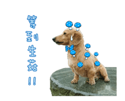 Mr. Tofu's line animated stickers (NO.1) sticker #15615180