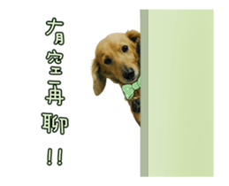 Mr. Tofu's line animated stickers (NO.1) sticker #15615181