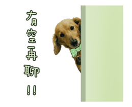 Mr. Tofu's line animated stickers (NO.1) sticker #15615181