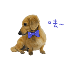 Mr. Tofu's line animated stickers (NO.1) sticker #15615182