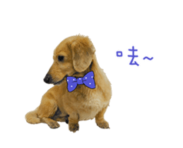 Mr. Tofu's line animated stickers (NO.1) sticker #15615182