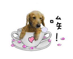 Mr. Tofu's line animated stickers (NO.1) sticker #15615183