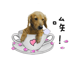 Mr. Tofu's line animated stickers (NO.1) sticker #15615183