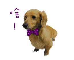 Mr. Tofu's line animated stickers (NO.1) sticker #15615184