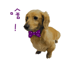 Mr. Tofu's line animated stickers (NO.1) sticker #15615184