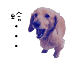 Mr. Tofu's line animated stickers (NO.1) sticker #15615185