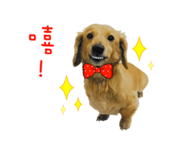 Mr. Tofu's line animated stickers (NO.1) sticker #15615186