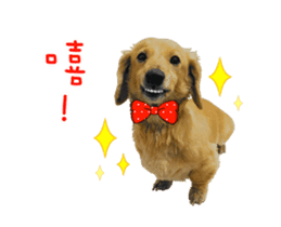Mr. Tofu's line animated stickers (NO.1) sticker #15615186