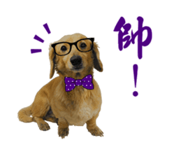 Mr. Tofu's line animated stickers (NO.1) sticker #15615187