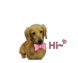 Mr. Tofu's line animated stickers (NO.1) sticker #15615188