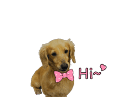 Mr. Tofu's line animated stickers (NO.1) sticker #15615188