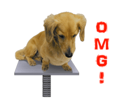 Mr. Tofu's line animated stickers (NO.1) sticker #15615189