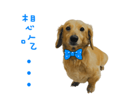 Mr. Tofu's line animated stickers (NO.1) sticker #15615190