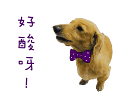 Mr. Tofu's line animated stickers (NO.1) sticker #15615191