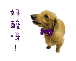 Mr. Tofu's line animated stickers (NO.1) sticker #15615191