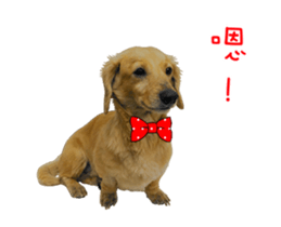 Mr. Tofu's line animated stickers (NO.1) sticker #15615192