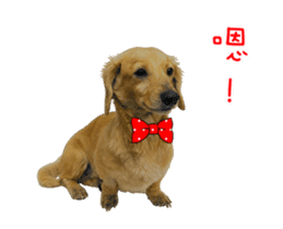 Mr. Tofu's line animated stickers (NO.1) sticker #15615192