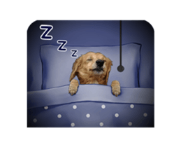 Mr. Tofu's line animated stickers (NO.1) sticker #15615193