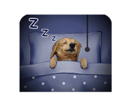 Mr. Tofu's line animated stickers (NO.1) sticker #15615193