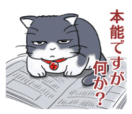 Tundere cat harukichi 2 sticker #15615567