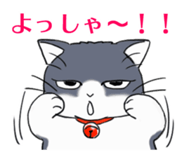 Tundere cat harukichi 2 sticker #15615569