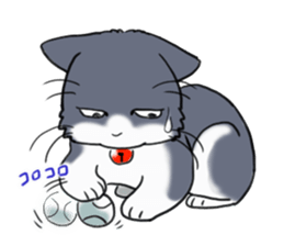 Tundere cat harukichi 2 sticker #15615574