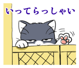 Tundere cat harukichi 2 sticker #15615576