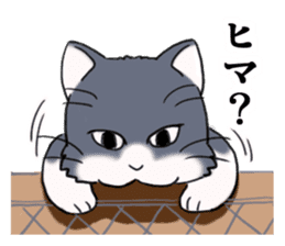 Tundere cat harukichi 2 sticker #15615583