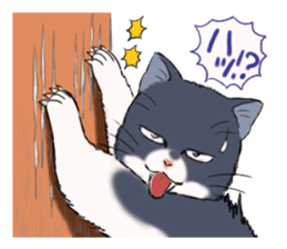 Tundere cat harukichi 2 sticker #15615585
