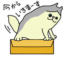 ragdoll sticker sticker #15615774