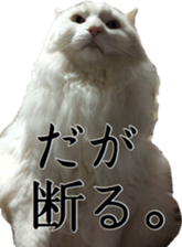 Our cats(miiko) sticker #15618788