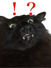 Our cats(miiko) sticker #15618792