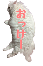 Our cats(miiko) sticker #15618794