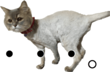 Our cats(miiko) sticker #15618799