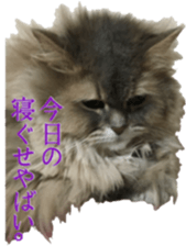 Our cats(miiko) sticker #15618801