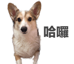 vivi dog sticker #15621426