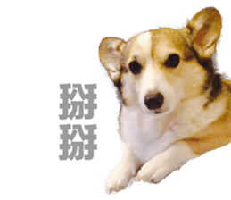 vivi dog sticker #15621427