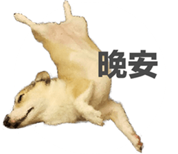vivi dog sticker #15621428