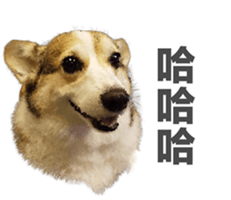 vivi dog sticker #15621431