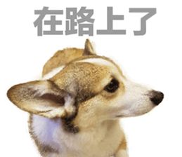 vivi dog sticker #15621432