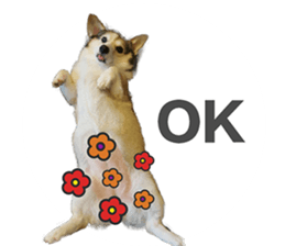 vivi dog sticker #15621433