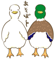 Duck's Sticker sticker #15622658