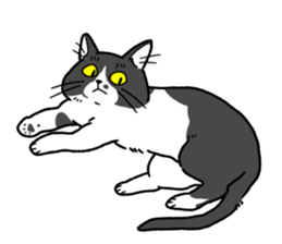 cottonsan2 sticker #15622897