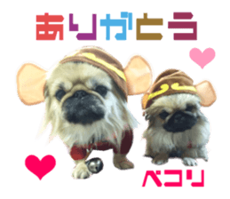 Real DOG Pekingese sticker #15627271