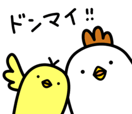 Niwatori Family -Daily conversation- sticker #15627649