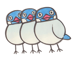 Daily soliloquence of Java sparrow sticker #15628307