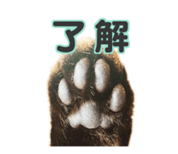 MILO&TOM sticker #15628676