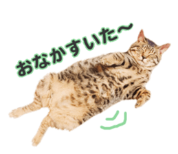 MILO&TOM sticker #15628679